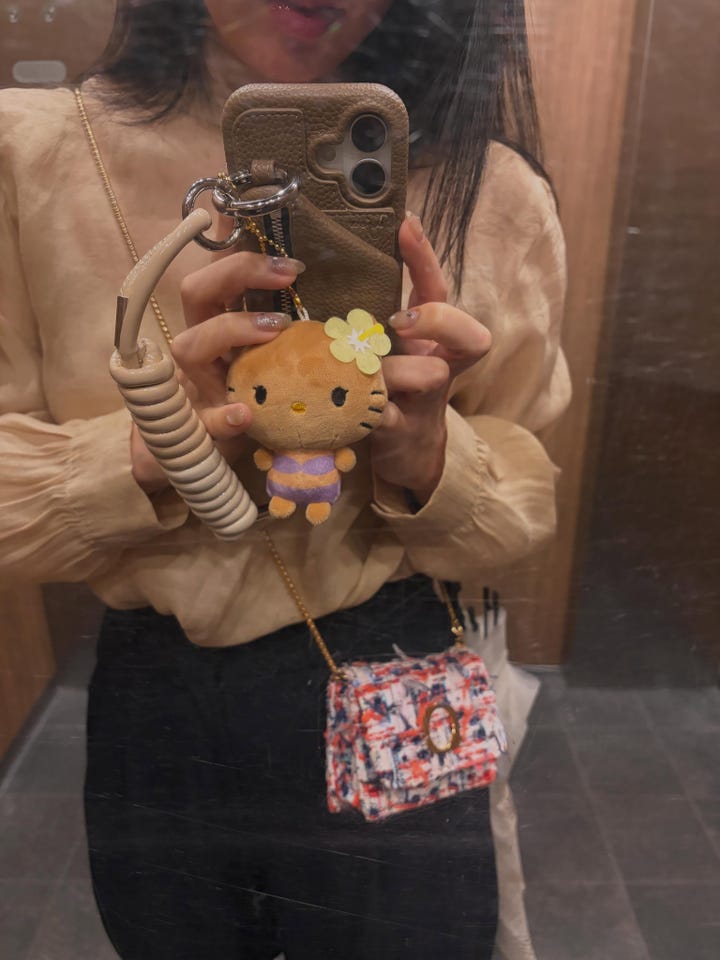 ajew cadenas zipphone case | iPhone17 / brown - ajew（エジュー