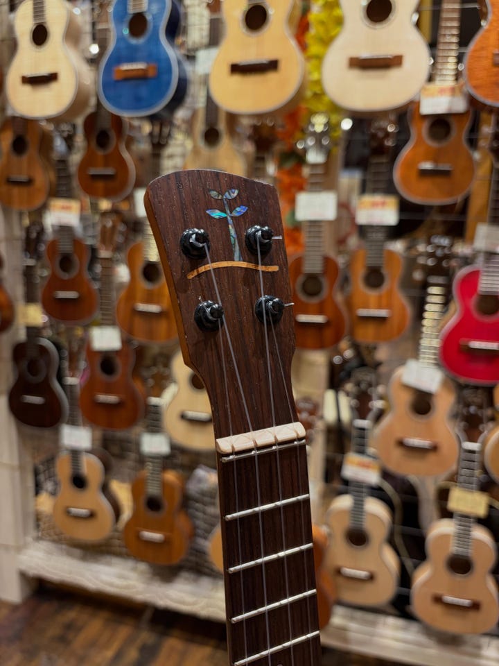 アコースティックギター美品！弦貼済 新品弦付 ソフトケース付 ピック付 整備済み AcousticINN | 三木楽器公式通販サイト