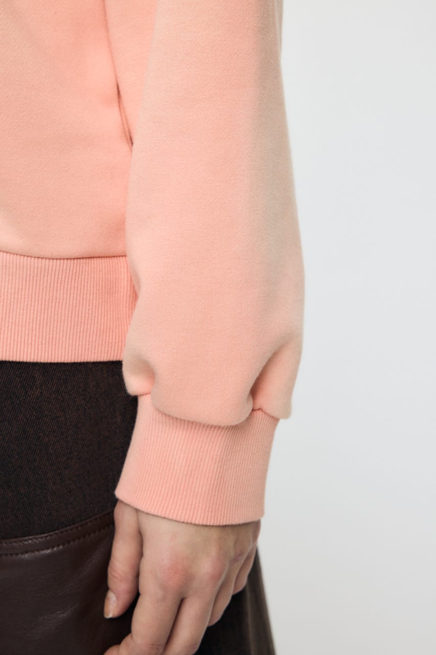 HALF ZIP SWEAT POLO プルオーバー L/ORG FREE