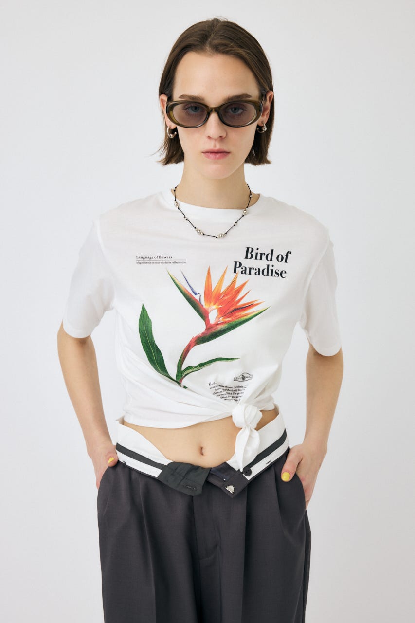 tシャツ ASYMMETRY SLEEVE TEE レディース SLY tシャツ ASYMMETRY DESIGN MESH TOPS アシンメトリー