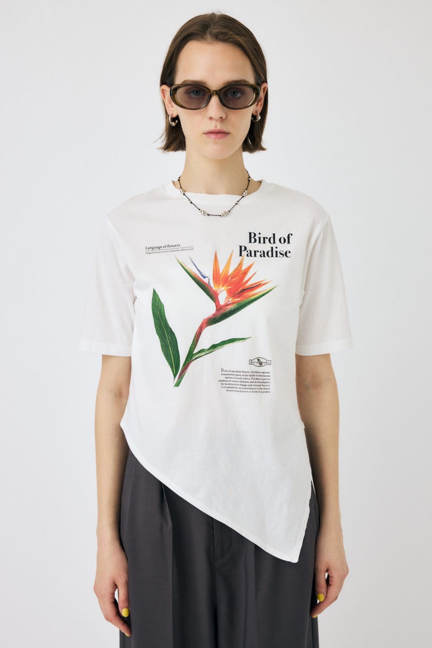 MOUSSY | ASYMMETRY フラワー TEE (Tシャツ・カットソー(半袖
