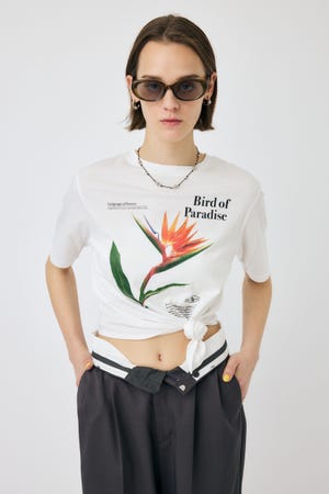 MOUSSY | ASYMMETRY フラワー TEE (Tシャツ・カットソー(半袖