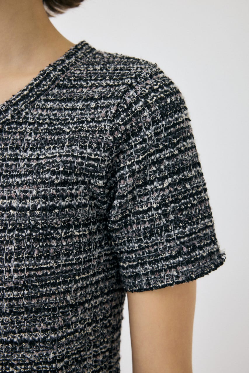 MOUSSY | TWEED LIKE トップス (Tシャツ・カットソー(半袖