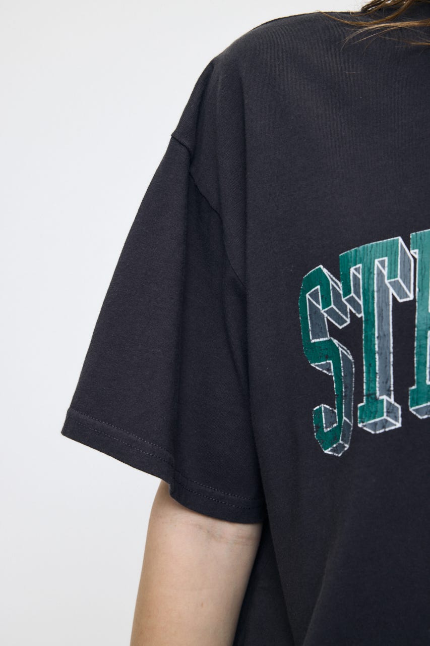 STRENGTH COLLEGE Tシャツ L/BLK FREE