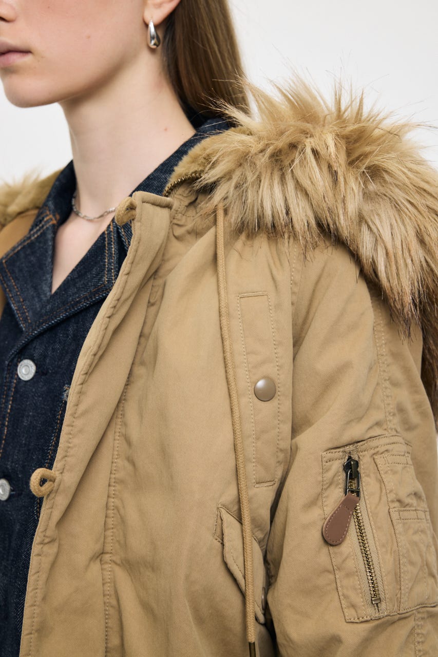 CROPPED N2-B BEG FREE