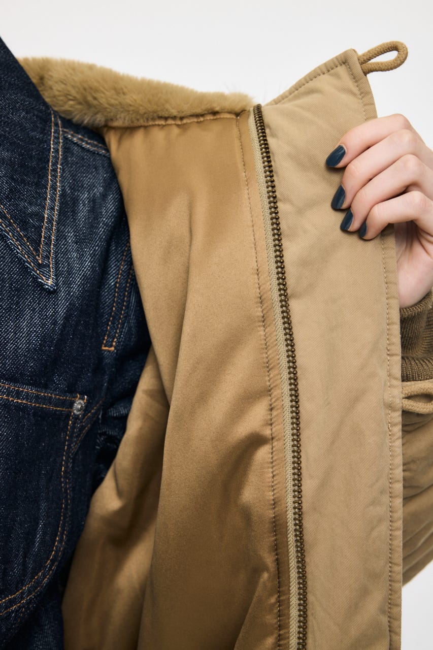 CROPPED N2-B BEG FREE
