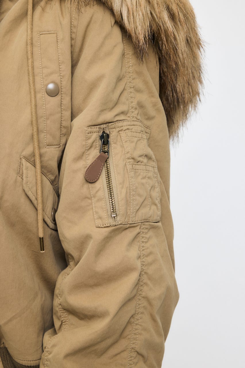 CROPPED N2-B BEG FREE