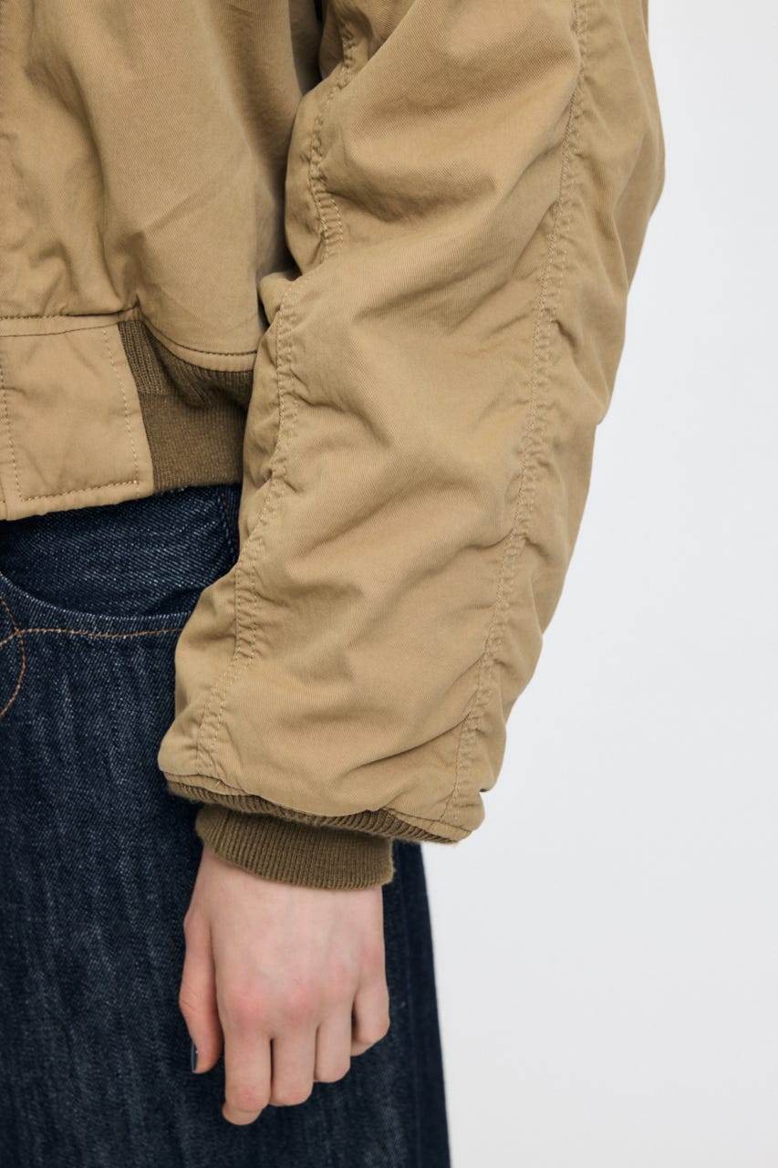 CROPPED N2-B BEG FREE