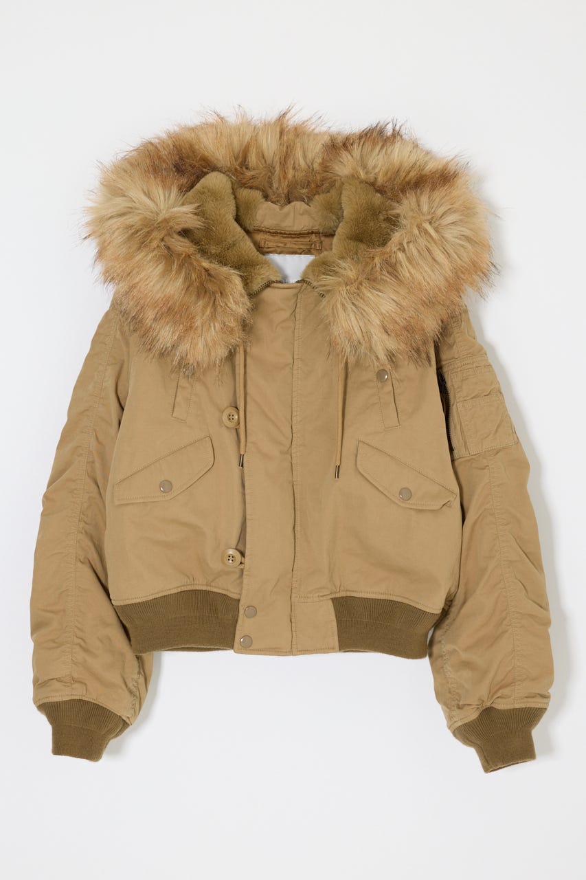 CROPPED N2-B BEG FREE
