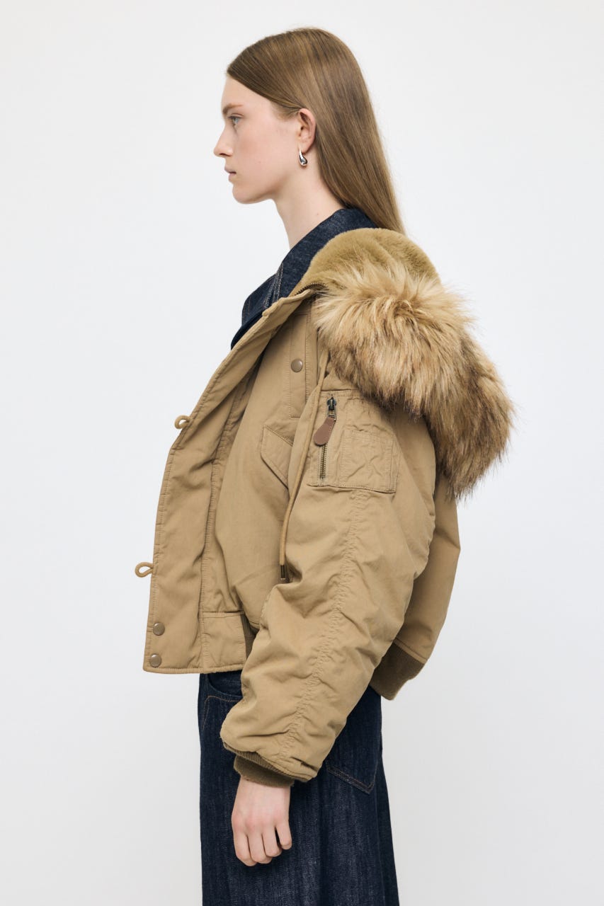 CROPPED N2-B BEG FREE