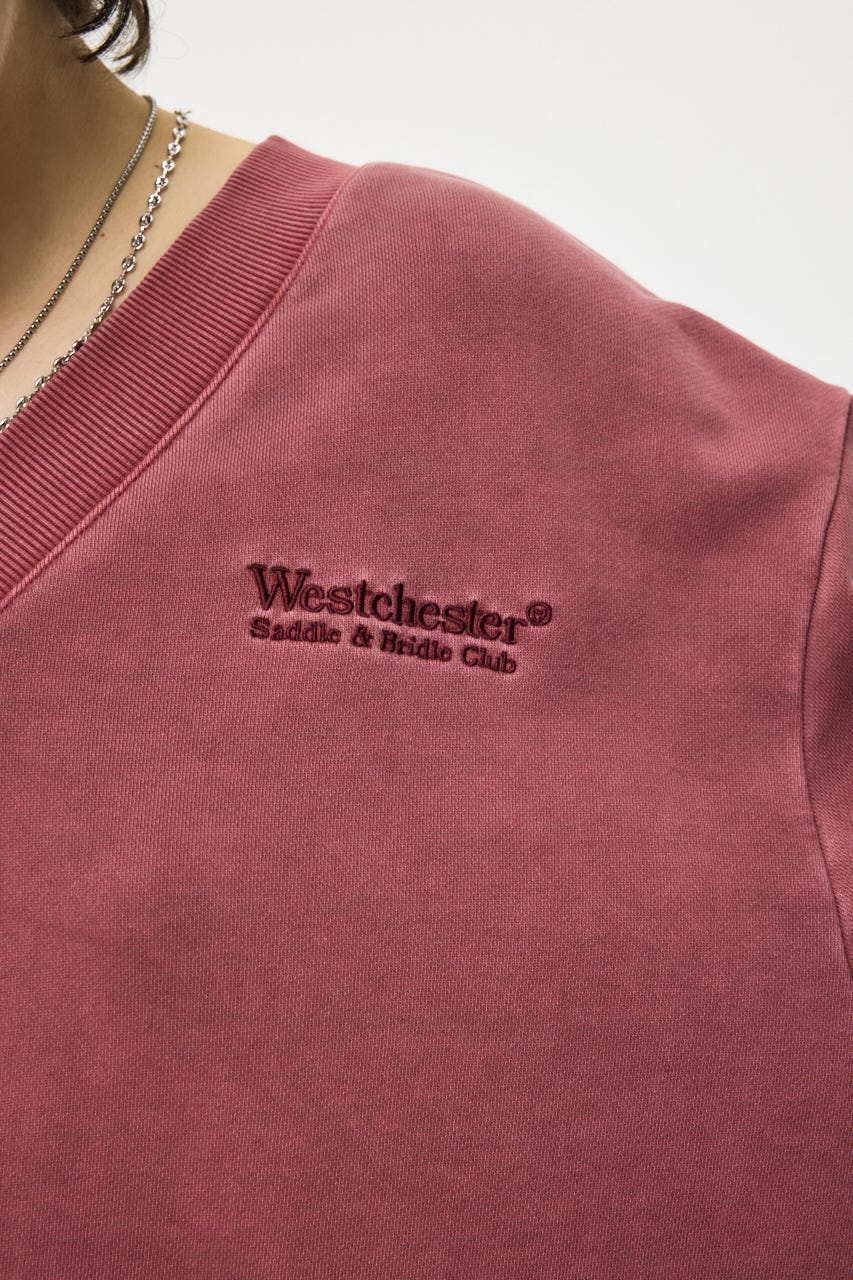 FADED V NECK SWEAT シャツ BRD FREE