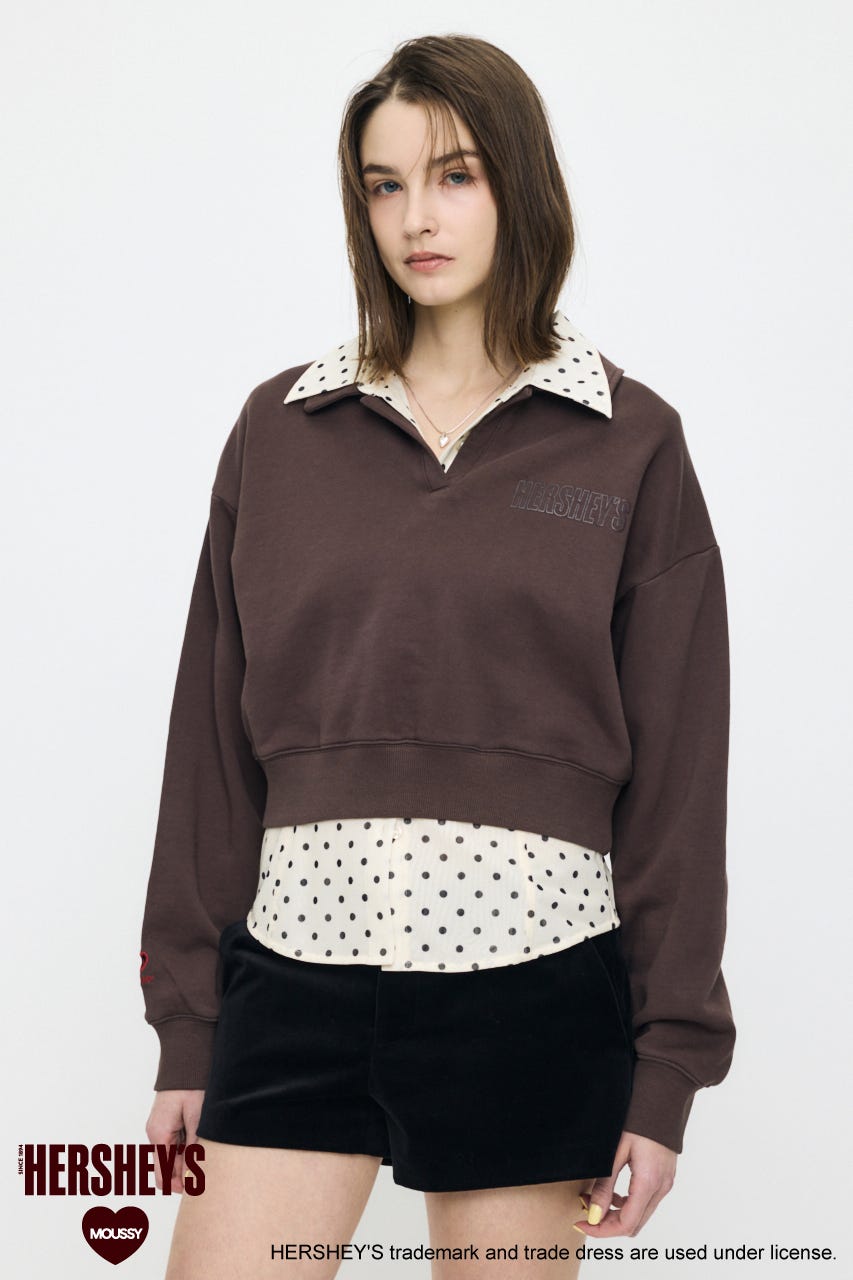 HERSHEY'S POLO SWEAT プルオーバー BRN FREE