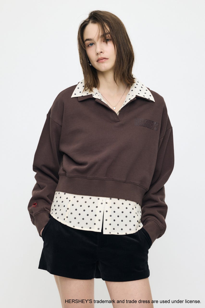 HERSHEY'S POLO SWEAT プルオーバー BRN FREE