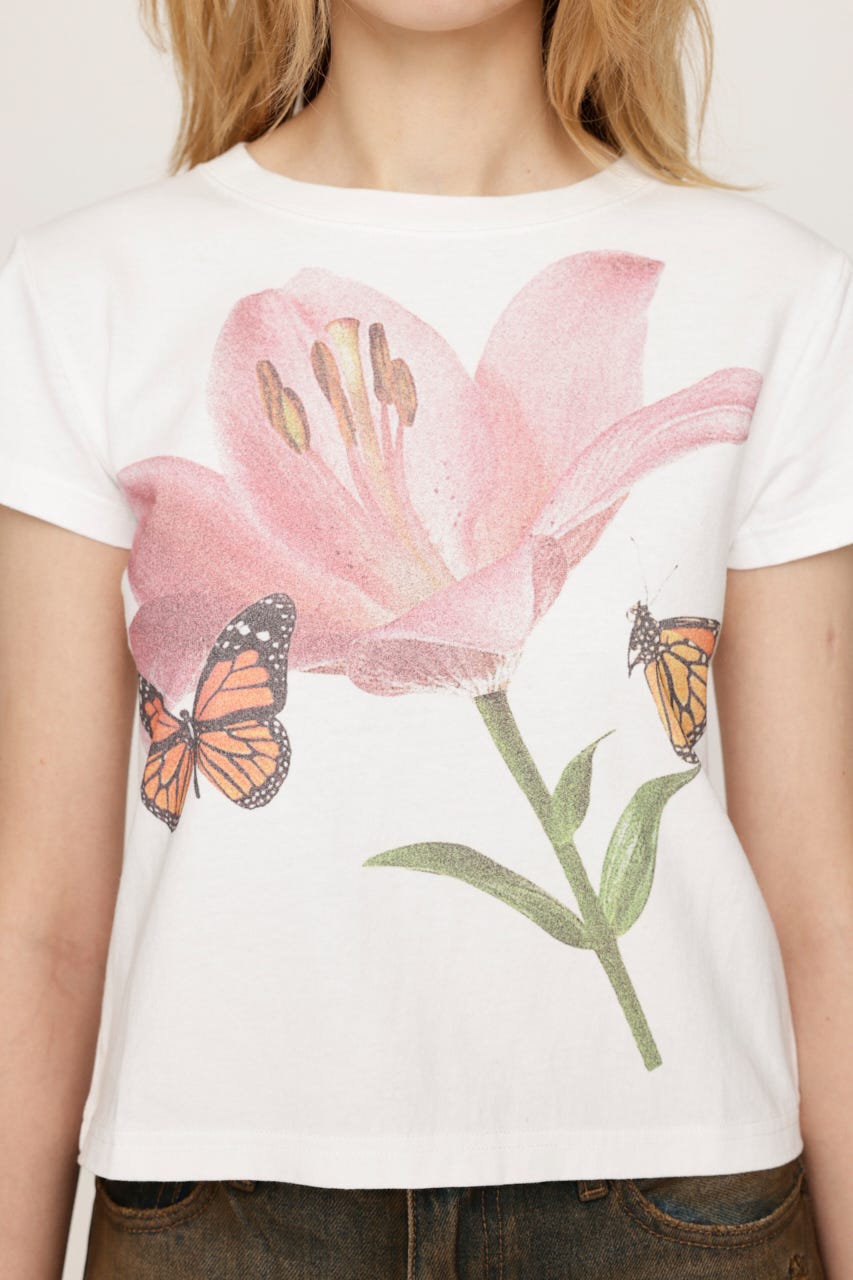 【LIMITED ITEM】PHOTO PRINT COMPACT Tシャツ WHT FREE