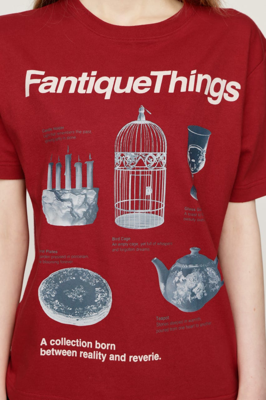 FANTIQUE THINGS LOGO Tシャツ RED 1