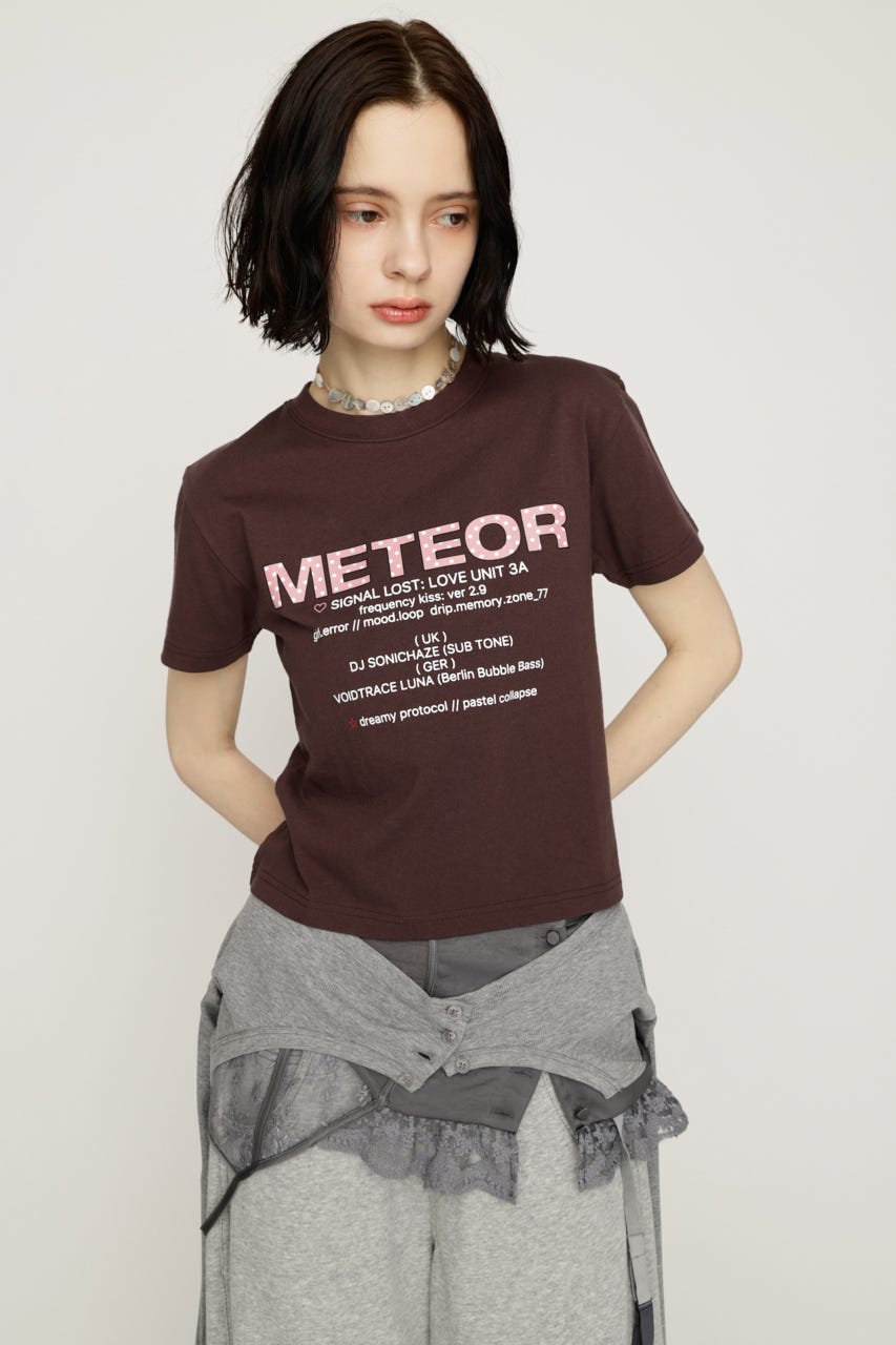 【SNSで話題！】PATTERN LOGO COMPACT Tシャツ BRN FREE