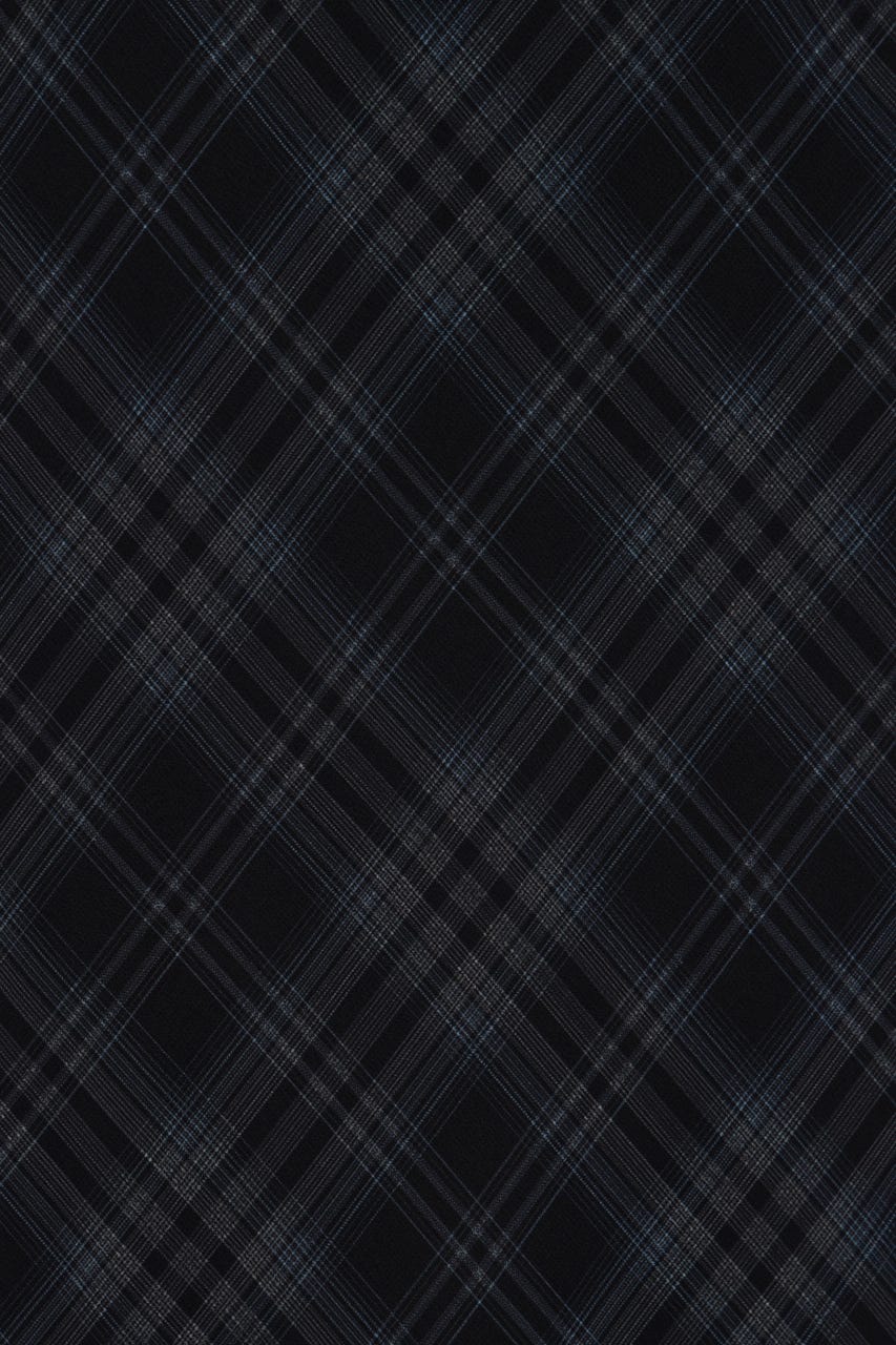 SHEER CHECK スカート M/BLK 2