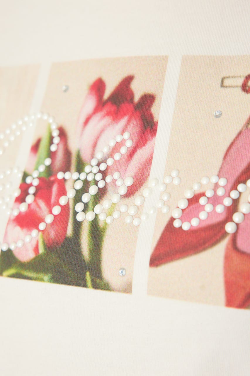 モチーフフォトショートTシャツ WHT FREE