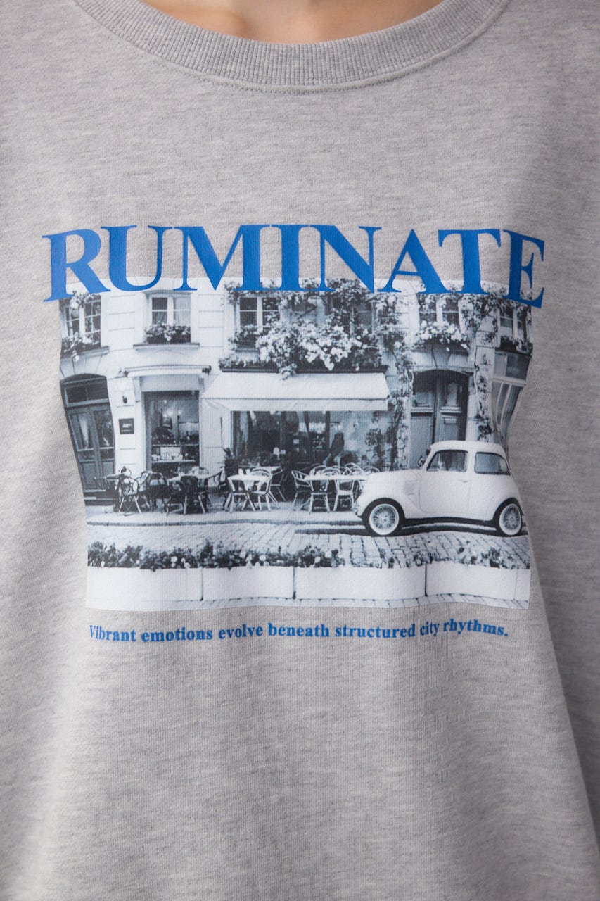 フォトプリントスウェット T.GRY FREE