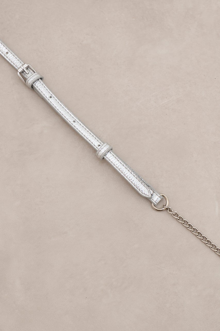 ダブルジッパーミニバッグ SLV FREE