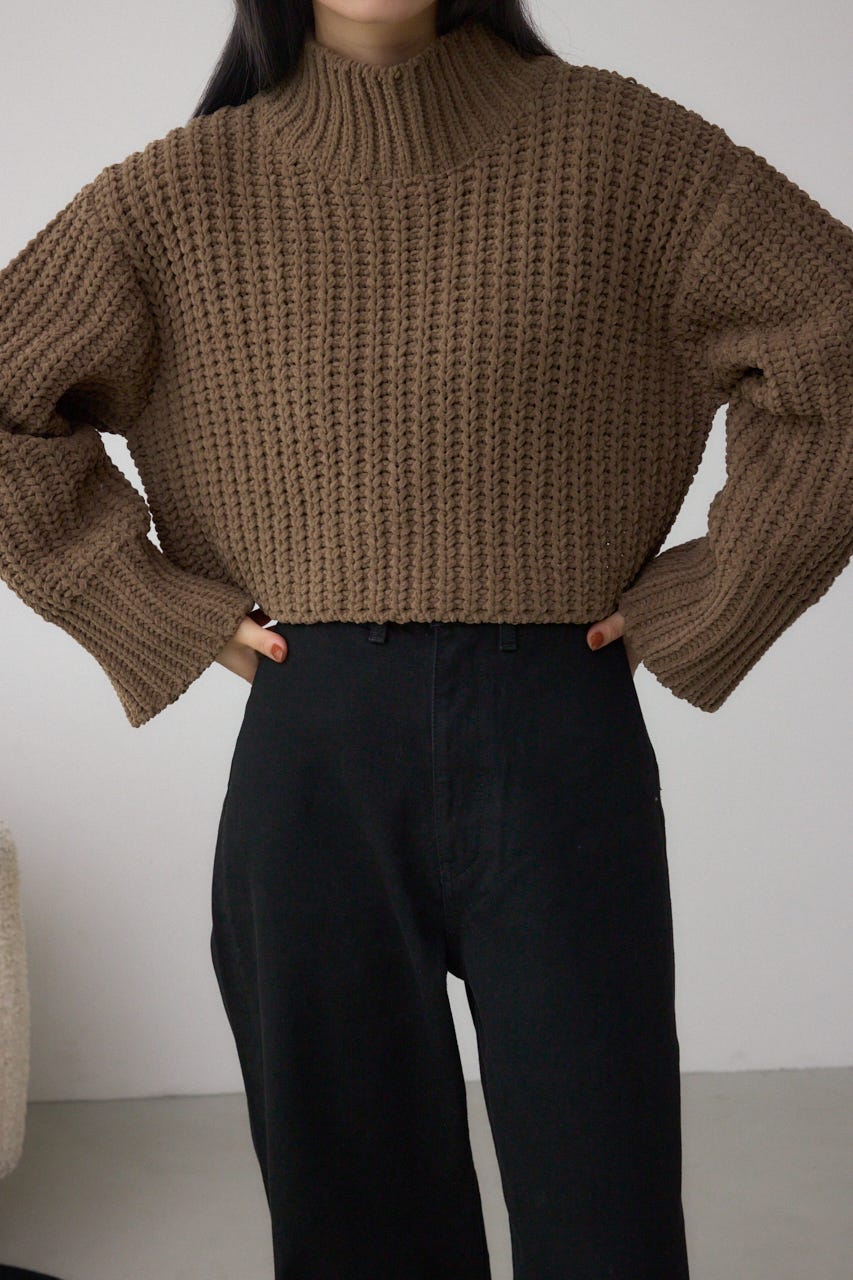 マットモールクロップドハイネックニット L/BRN FREE