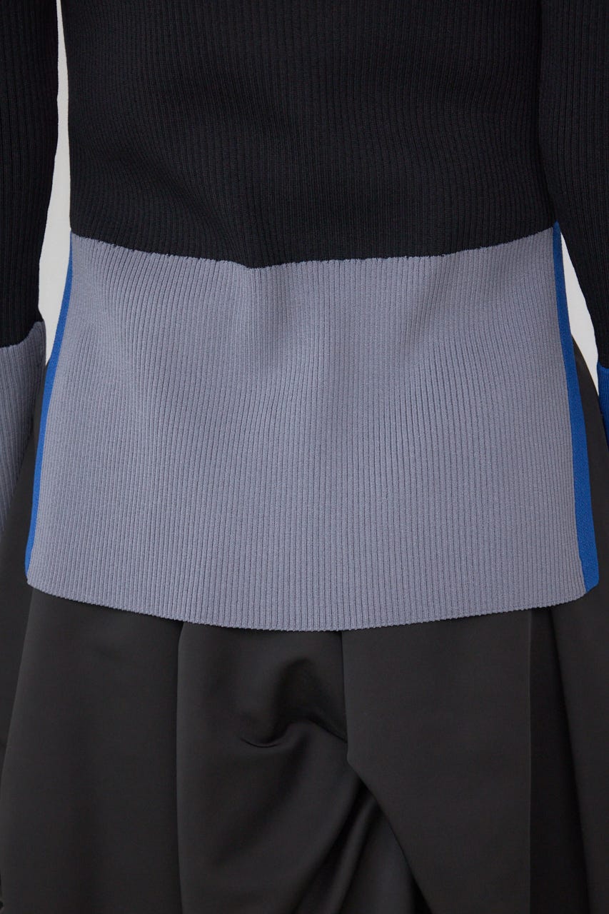 【PLUS】カラーブロッキングリブニット BLK FREE