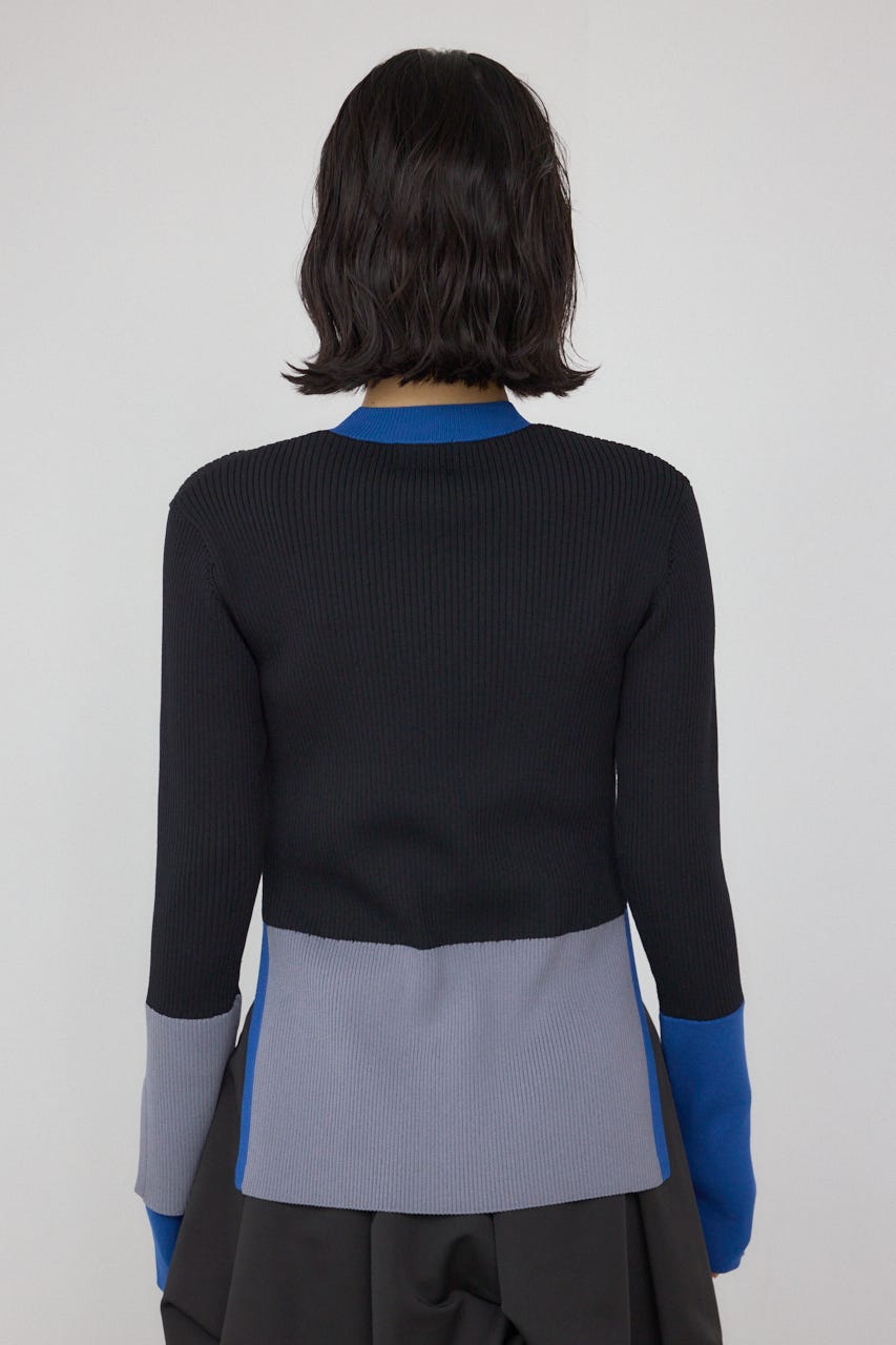 【PLUS】カラーブロッキングリブニット BLK FREE