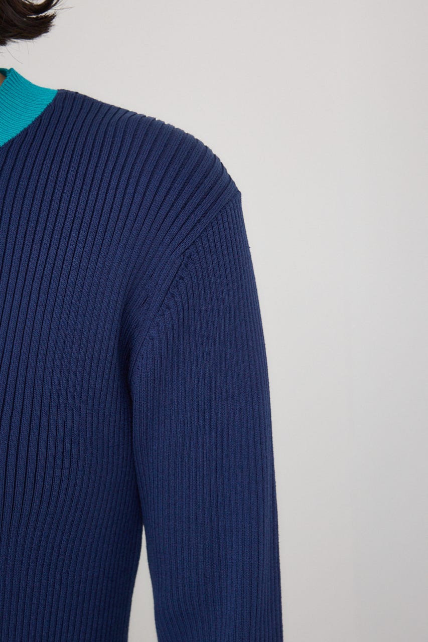 【PLUS】カラーブロッキングリブニット NVY FREE