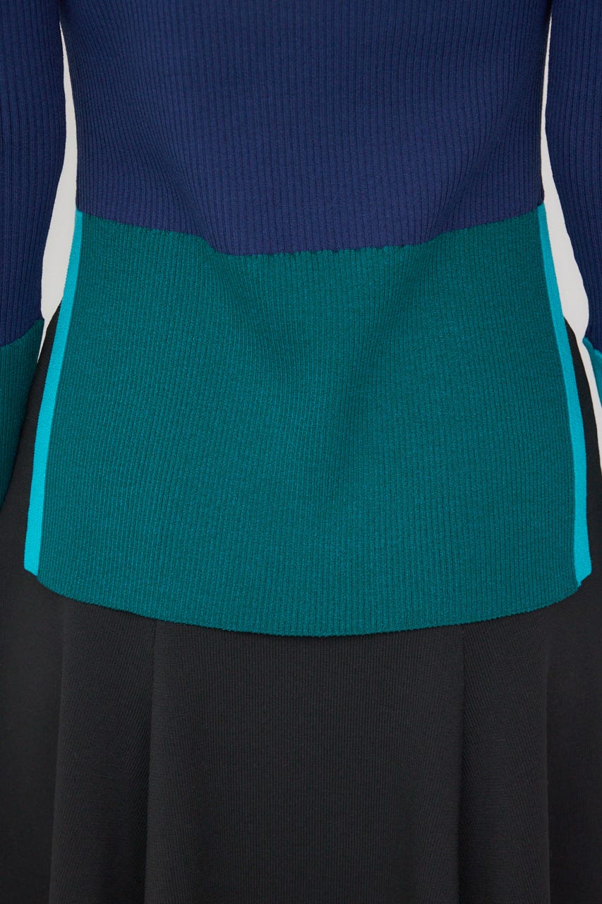 【PLUS】カラーブロッキングリブニット NVY FREE