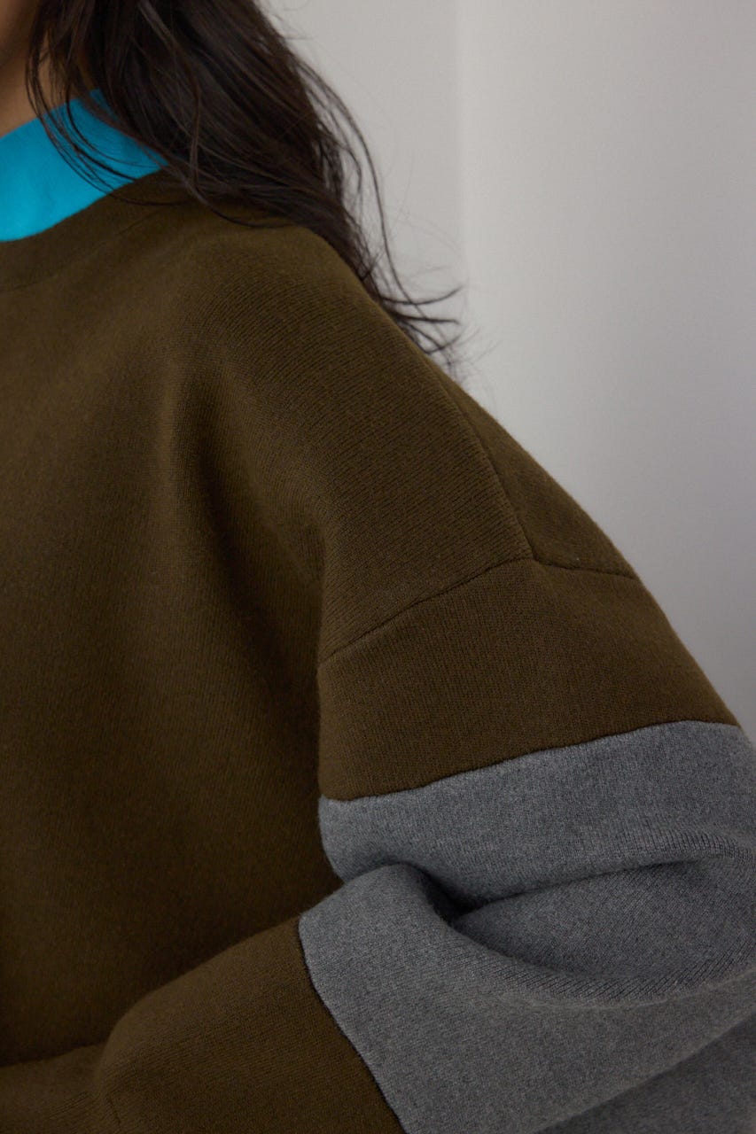 【PLUS】レイヤードライクブロッキングプルオーバー 柄BRN FREE