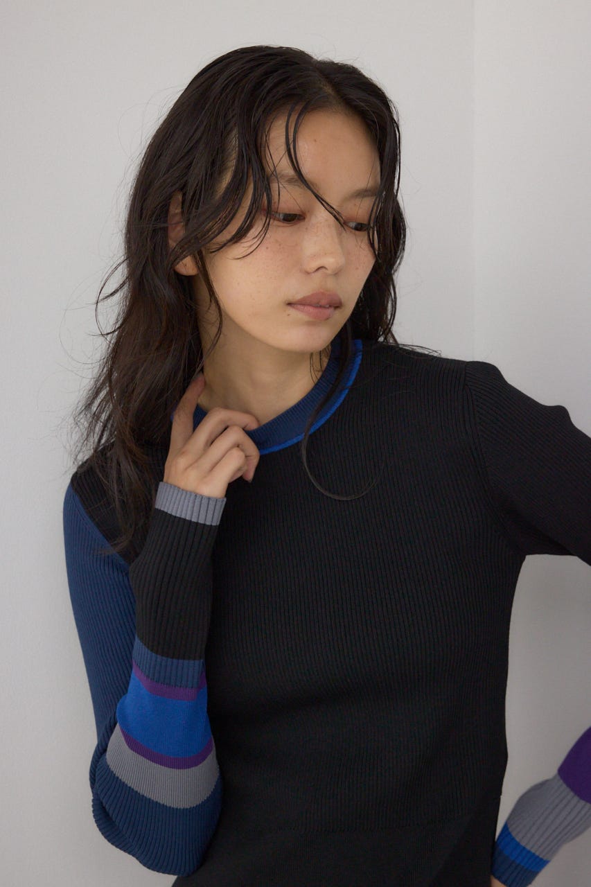 【PLUS】カラーブロッキングリブニット 柄BLK FREE