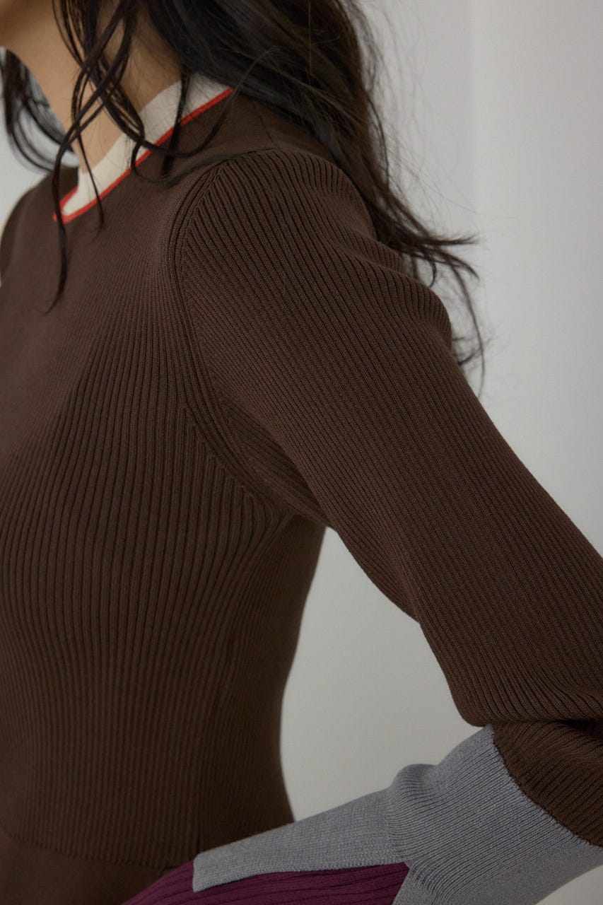 【PLUS】カラーブロッキングリブニット 柄BRN FREE