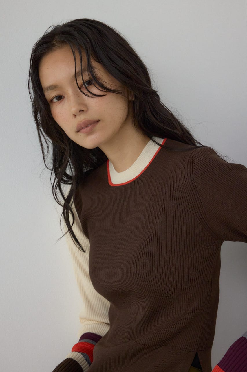 【PLUS】カラーブロッキングリブニット 柄BRN FREE