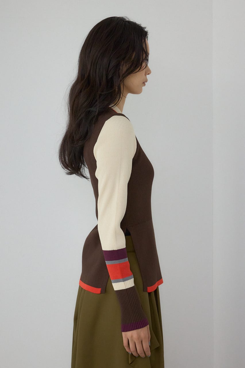 【PLUS】カラーブロッキングリブニット 柄BRN FREE