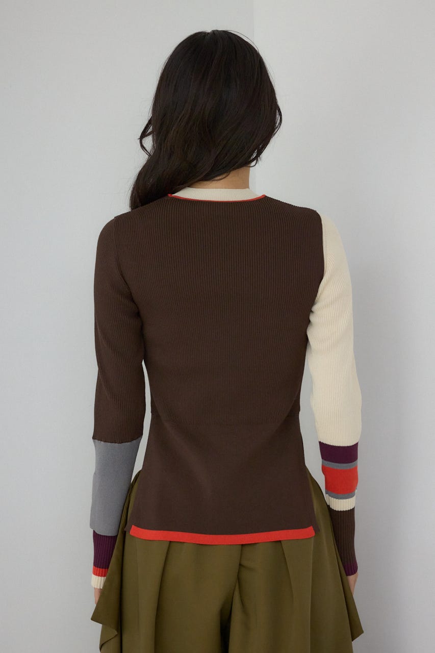 【PLUS】カラーブロッキングリブニット 柄BRN FREE