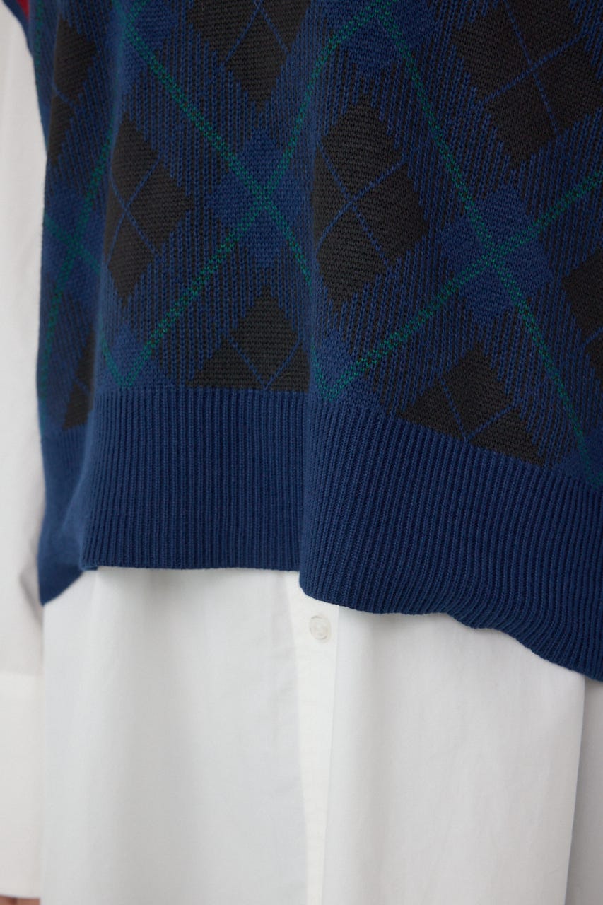 【POLO BCS×AZUL】チェック柄ニットベスト 柄NVY FREE