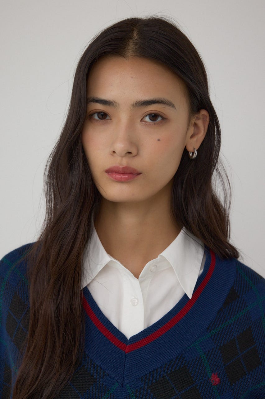 【POLO BCS×AZUL】チェック柄ニットベスト 柄NVY FREE