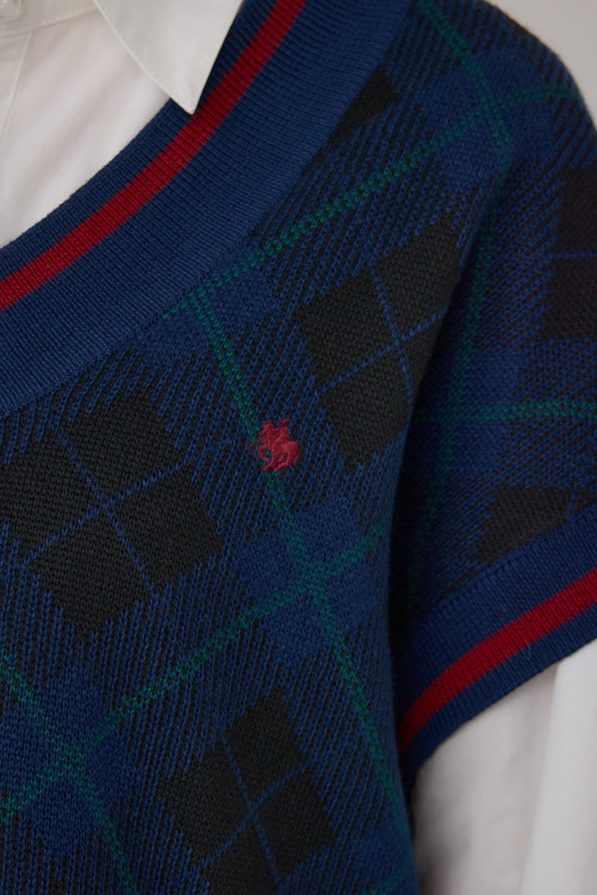 【POLO BCS×AZUL】チェック柄ニットベスト 柄NVY FREE