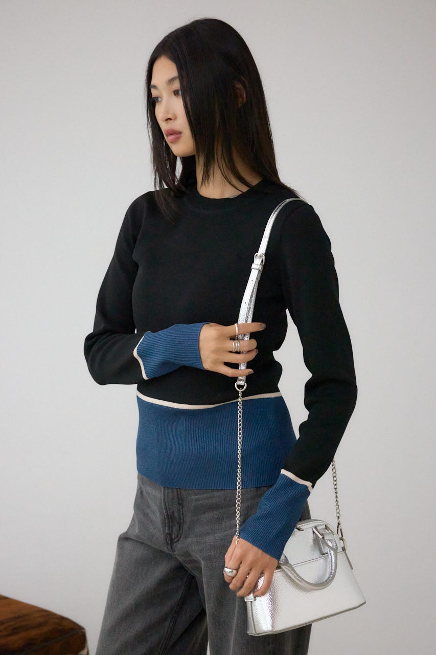 ダブルジッパーミニバッグ SLV FREE