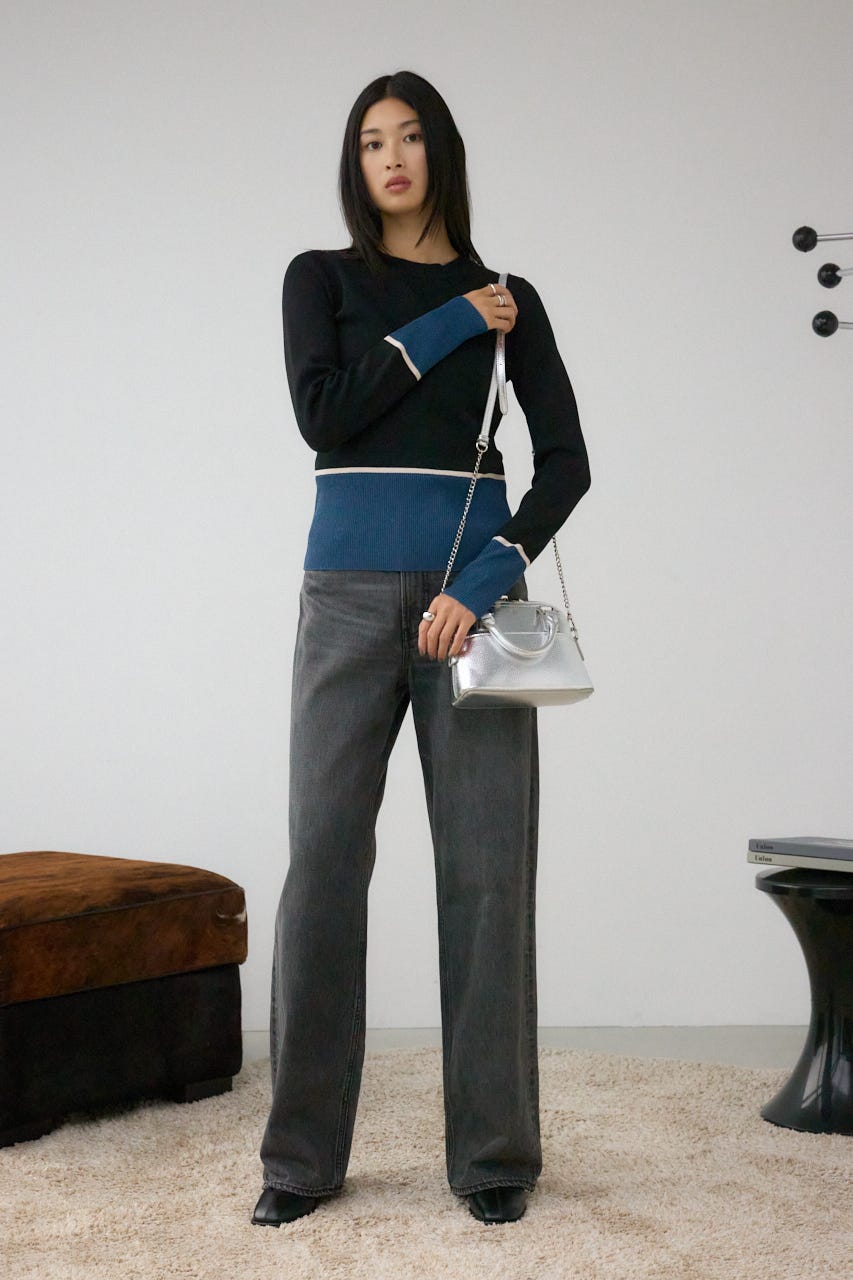 ダブルジッパーミニバッグ SLV FREE