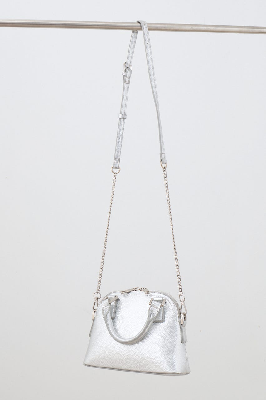 ダブルジッパーミニバッグ SLV FREE