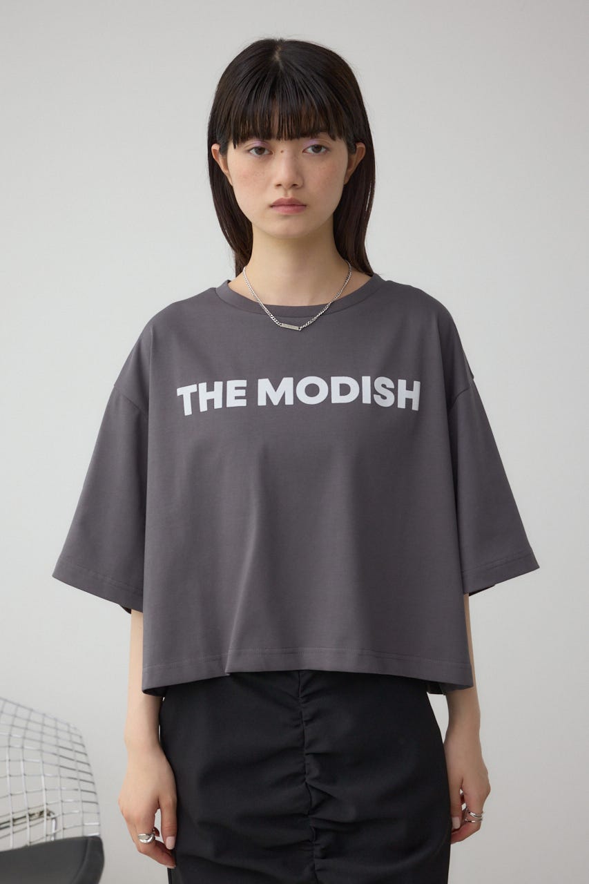 フロッキープリントTシャツ C.GRY FREE