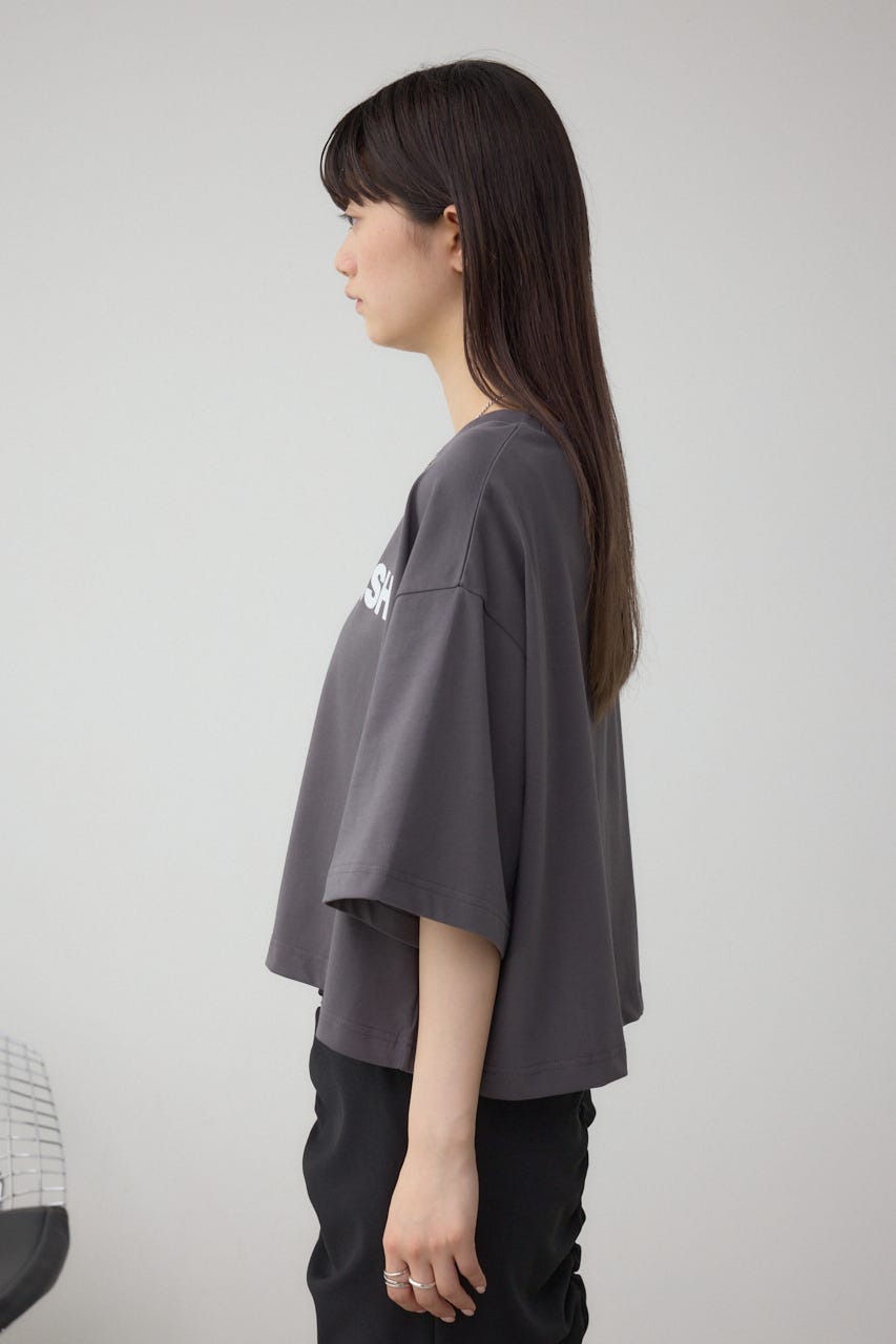 フロッキープリントTシャツ C.GRY FREE