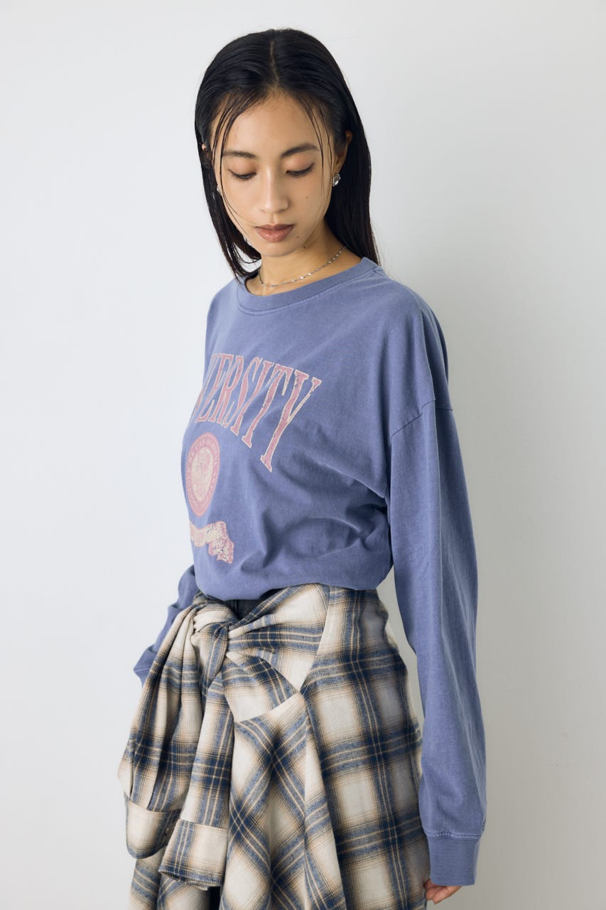 ピグメントロックTEE BLU FREE