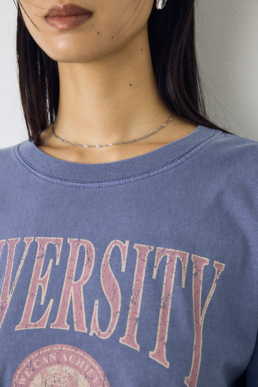 ピグメントロックTEE BLU FREE