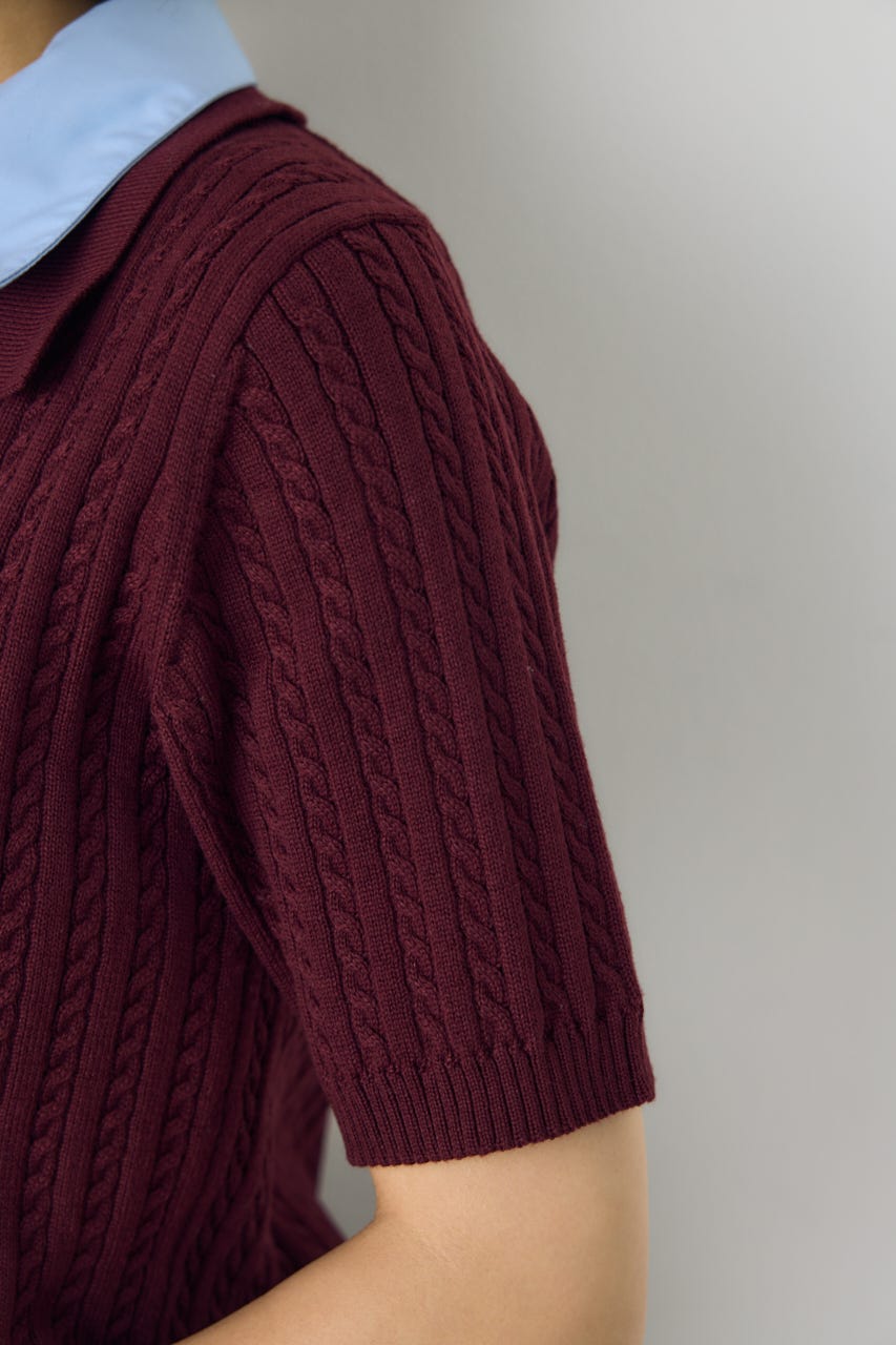 ＜先行予約＞【POLO BCS×AZUL】ダブルカラーニット BRD FREE