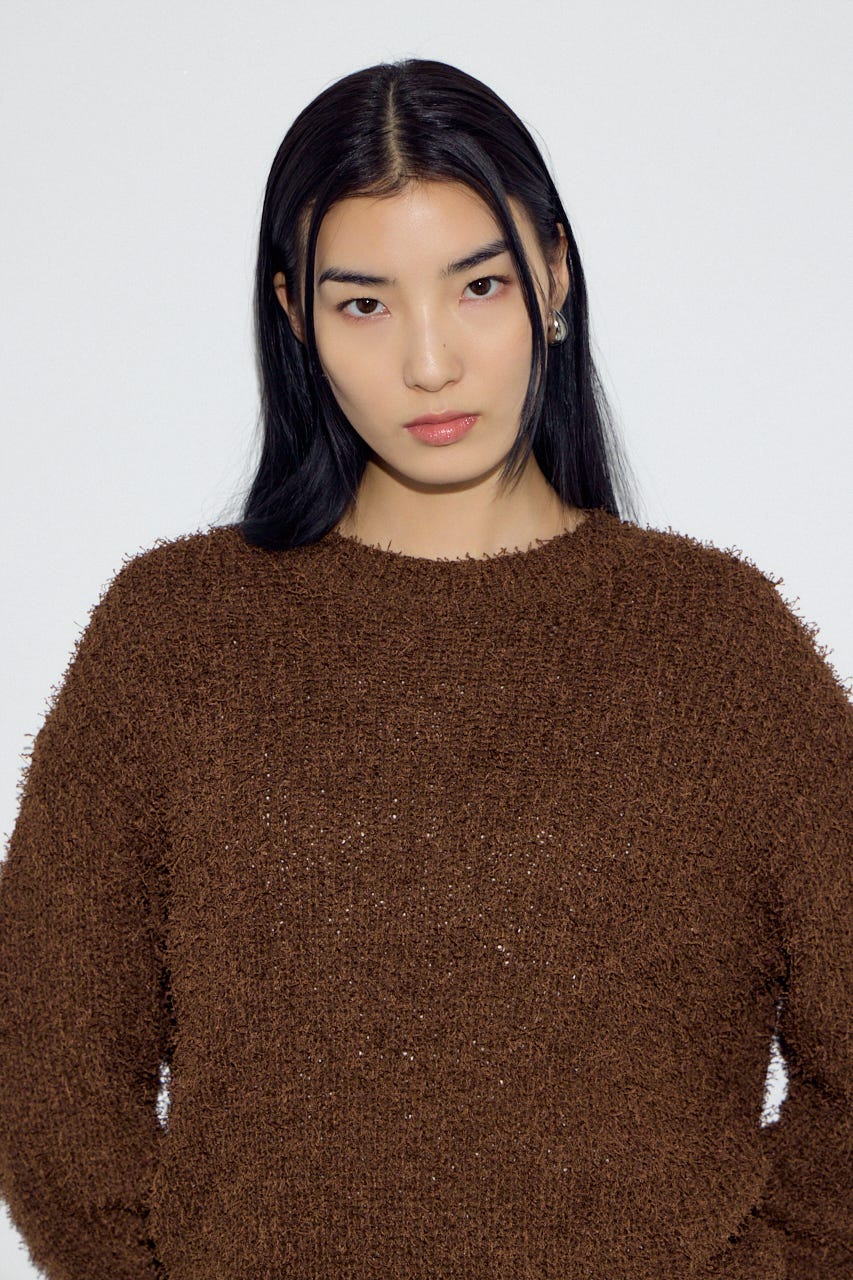 カールヤーンクルーネックニット BRN S