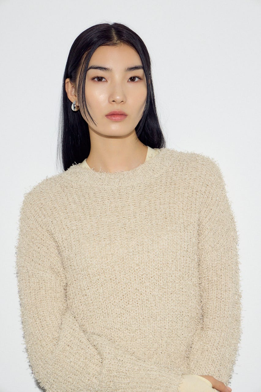 カールヤーンクルーネックニット IVOY M