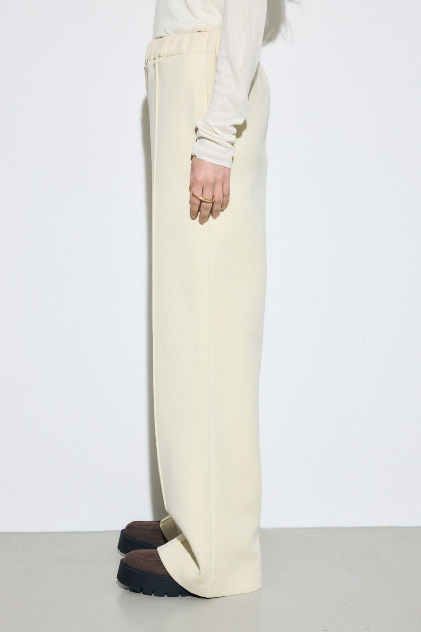 ピグメントピンタックワイドパンツ IVOY M