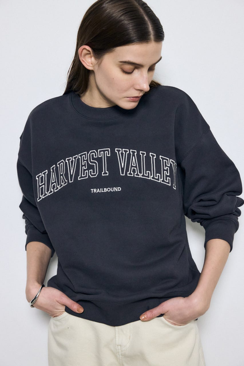 AZUL BY MOUSSY | カレッジロゴ スウェットトップス (Tシャツ